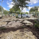 תמונה עיצוב גינה